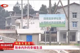 四川新闻联播丨新春走基层⑩账本内外的幸福生活图片