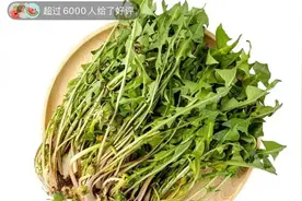 这种春菜能护眼，很多人都不知道图片
