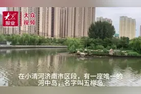 小清河全线第一闸五柳闸，见证清河“复生”图片