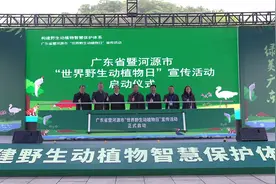 广东中华穿山甲智慧保护体系建设在河源启动图片