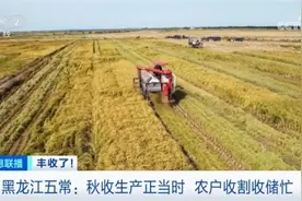 丰收气息扑面而来 “米袋子”“果盘子”“菜篮子”满满当当图片