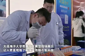 海蜇的N种吃法 来逛一趟海蜇节全知图片