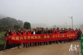 “人大代表林”种下去，绿美泗纶“动起来”图片