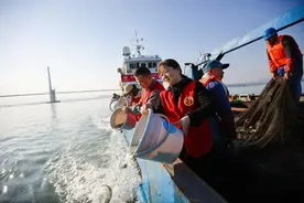 还给大海 1亿尾（只）海产 电力人这样守护蓝色生态图片