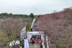 樱花伴跑乐哈哈！“2025贵州·清镇樱花跑”今日开跑图片