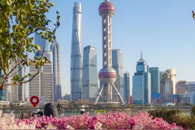 坐标北外滩！绝美紫罗兰花海开启魔都春日色彩盛宴→图片