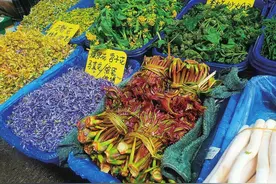 春菜尝鲜正当时怎么吃才更安全图片
