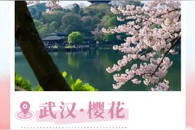 转发收藏！2025年春日赏花时间表图片