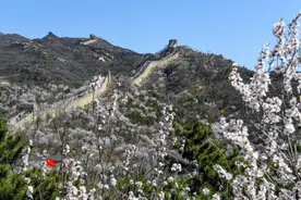 外媒关注：八达岭长城景区开始用无人机“送外卖”图片