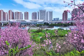 手植春光 一起为春天充“植”图片