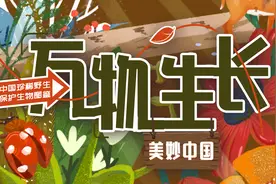 万物生长｜今日寒露图片