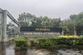 雅安国药基地：以种子为起点，守护中药传承，书写繁育新篇章图片