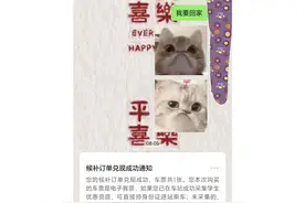 太难抢了！多名网友称向12306“发疯”求票，成功了？最新回应→图片