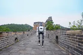机器人当火炬手？25种机器人组团“应聘”世运会图片