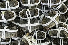 膏肥黄满！福州各大市场大闸蟹“抢鲜”上市图片
