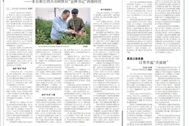 央媒观豫丨河南睢县：深挖市场价值 荠菜做成大产业图片