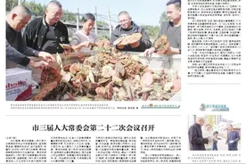 【市州党报关注】印江沙子坡镇茶园精细化管护忙图片