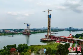 世界最大跨度无砟轨道斜拉桥主塔封顶图片