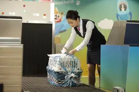 南航在广州白云国际机场推出国内首个宠物出行服务专区图片