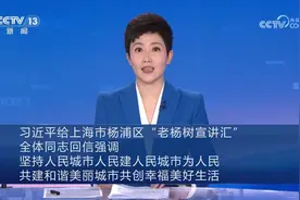 【央视快评】共建和谐美丽城市 共创幸福美好生活图片