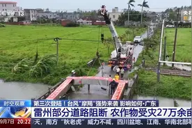台风“摩羯”导致广东雷州市道路阻断，农作物受灾27万余亩图片