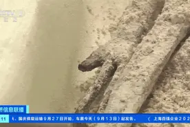 外星人? 墨西哥国会揭晓非人类化石, 每只手3根手指, DNA让人惊讶; 饰品金价狂飙, 每克破600 | 早报图片