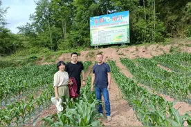 追光2023·天府人物㉗丨跨越千里，她在四川种玉米图片