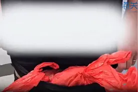 三男子在裆部内裤夹层中放塑料袋，用黑丝袜包裹236只大鳄龟进境被海关查获图片