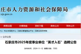 604个岗位！事业单位！石家庄最新公告图片