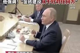 普京：正与金砖国家打造新的清算体系图片
