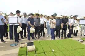 科技加持，常州溧阳沃野涌动“新质生产力”图片