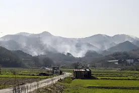 日本冈山县山林火灾过火面积已扩大至约559公顷图片