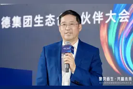 李军：2024年利亚德将加大海外市场投入，实行双品牌战略图片