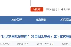 关于四川南欣房地产开发有限公司“比华利国际城三期” 项目剩余车位（库）转移登记的公告图片