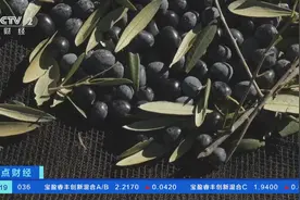 产量或将下降39%！气候变化致欧洲多国今年油橄榄产量下降图片