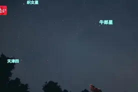 七夕“牛郎”“织女”相会，这份广州观测指南请收好！图片