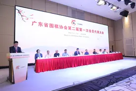 广东省围棋协会换届大会成功召开图片