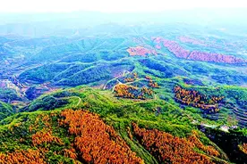 【畅游天水】清水秋日：树树皆秋色 山山唯落晖图片