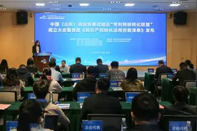 山东自贸区知识产权转移转化联盟成立图片