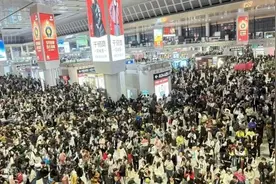 热议 | 撞高铁、闯民宅……野猪“撒野”，终究闹出了人命图片