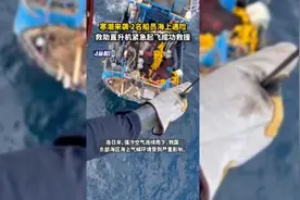 寒潮来袭，2名船员海上遇险！救助直升机紧急起飞成功救援图片