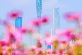视频｜千年花洲：从云端到湖畔，最美春光尽在海珠这片“宝藏花地”图片