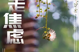 海报 | 春节假期最后一天，调整状态准备开工吧！图片