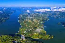 思南白鹭湖：候鸟翩跹 “湿”情画意图片