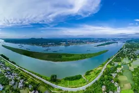 “项”上生长的望城力量图片