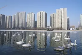 库尔勒市：一座可以听到“天鹅环绕音”的城市图片