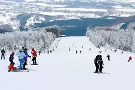 山东冬游五件套，等您来解锁！图片