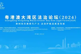 粤港澳大湾区法治论坛 | AI技术如何改变法律行业？专家学者律师热议图片