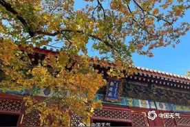 绿色→黄色→红色，北京香山枫叶开启渐变模式图片