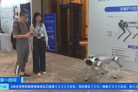 超540家首店引进，最高奖励百万！南京“首发经济”迅速升温图片
